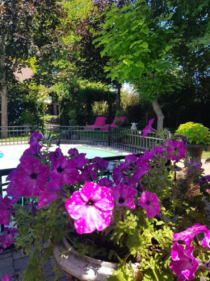 B&B Le Jardin NeerNeerpelt Exterior photo