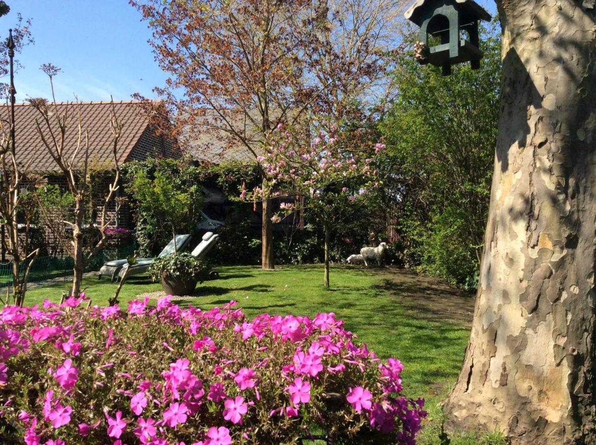 B&B Le Jardin NeerNeerpelt Exterior photo